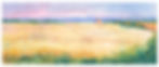 Connecticut Farm