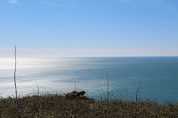 The sea from Whitsand Bay cliffs