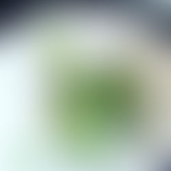 Bonne adresse #1 : le restaurant de Pierre Sang