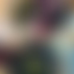 Bonne adresse #7 : Republique of Coffee