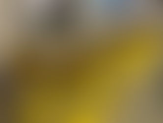 1A| Nieuwjaarsfeestje 