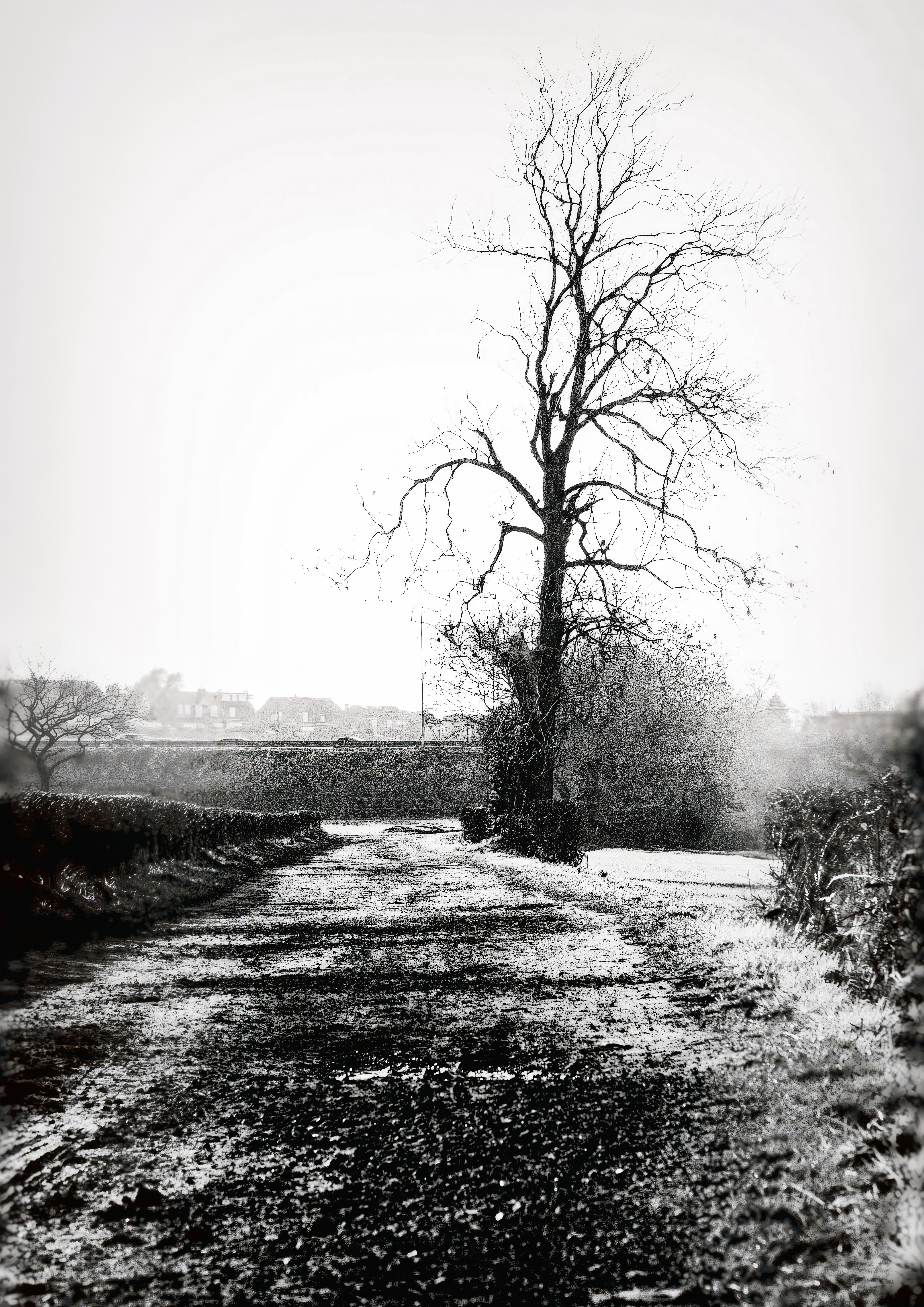 from winstaley to windy arbor [layered].jpg