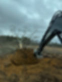 IMG_9327.jpeg