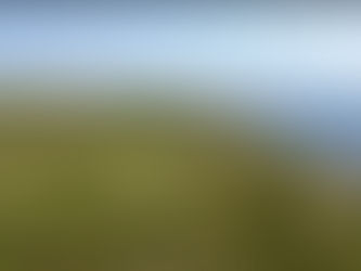 Irish Offshore Wind Developer Plans 600MW Hydrogen-to-SAF Plant in Eastern Canada