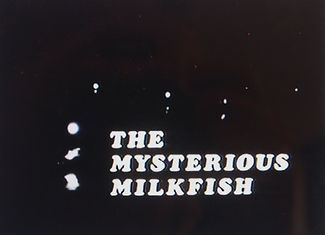 Milkfish alt 2.jpg