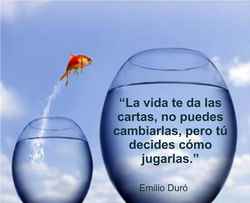 frases-de-superacion-personal_1