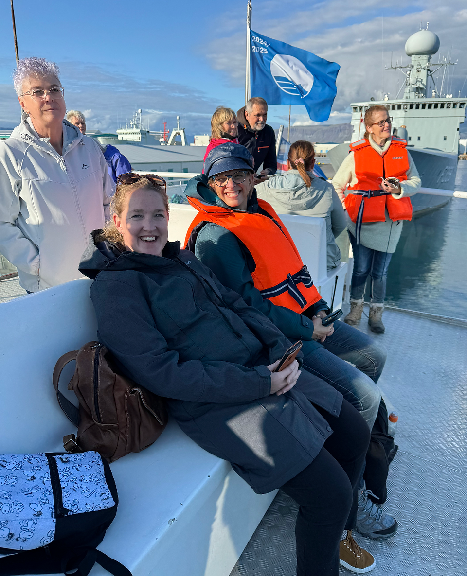 Icelandic boat tour