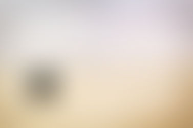 Date for your diary - Squash