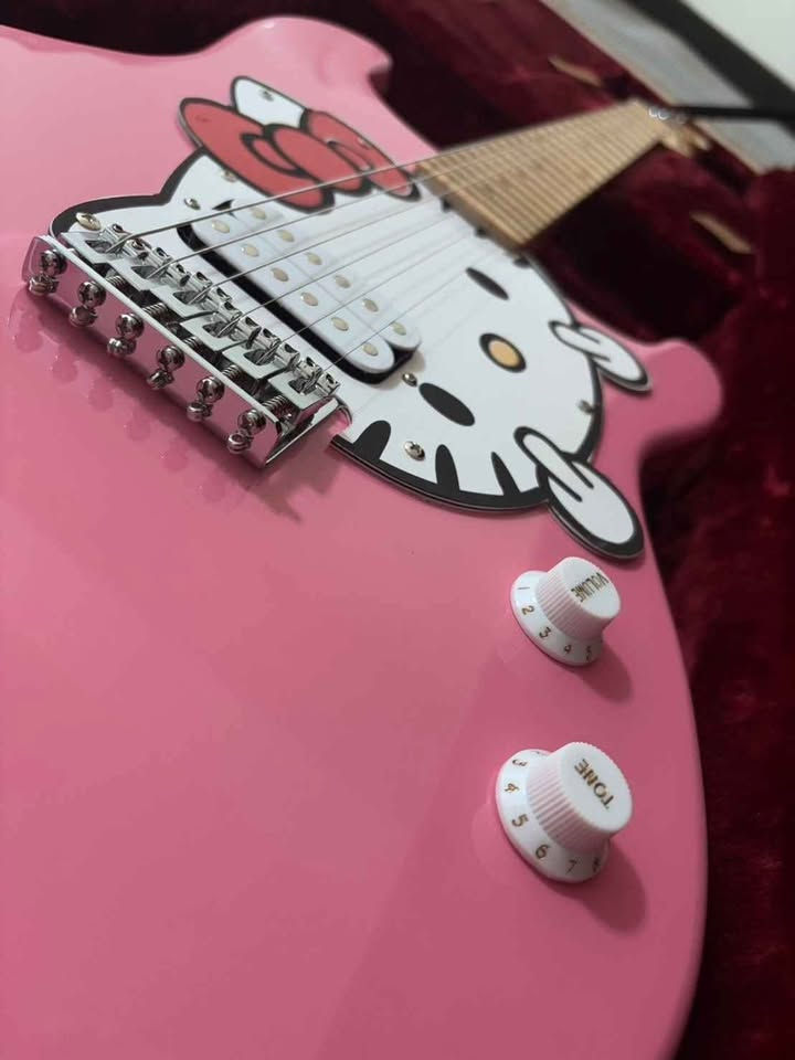 縮圖：Fende Hell Kitty Chamber Deluxe Stratocaster 8th 日製拼裝琴 電吉他
