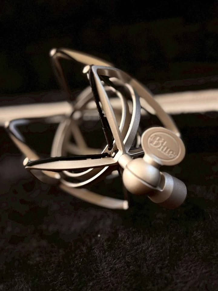 縮圖：Blue Baby Bottle SL 大型振膜 錄音室 電容式 麥克風