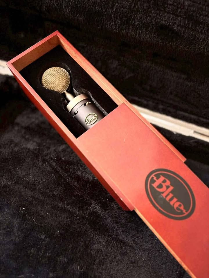 縮圖：Blue Baby Bottle SL 大型振膜 錄音室 電容式 麥克風