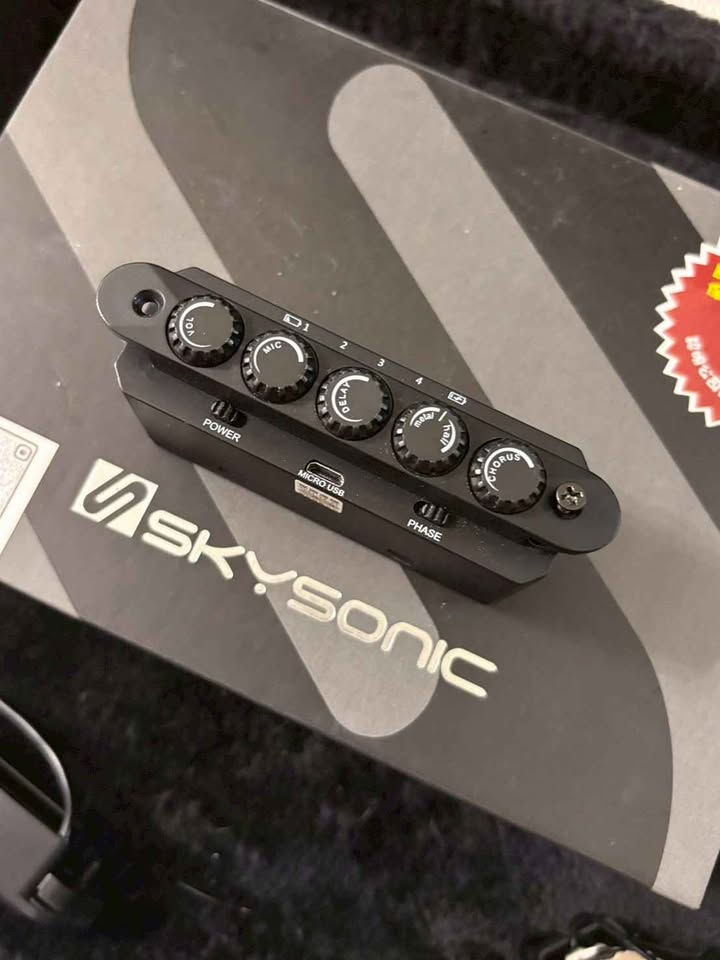 縮圖：SkySonic R2 雙系統 木吉他 響孔共振 拾音器