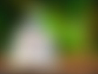 BIEN RESPIRER POUR UN MIEUX ÊTRE