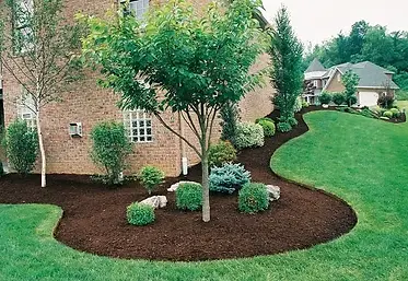 Best_Types_of_Mulch.webp