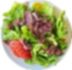 SALADE PERIGOURDINE