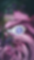Thumbnail: Lilac Ice Carriage Ring