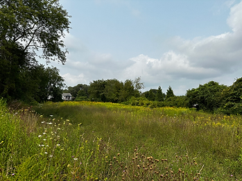 Meadow in Portsmouth, RI