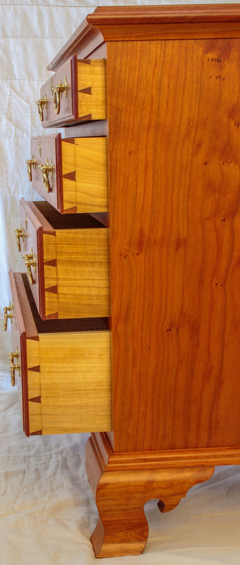 0L8A8517 (Large).JPG.jpg