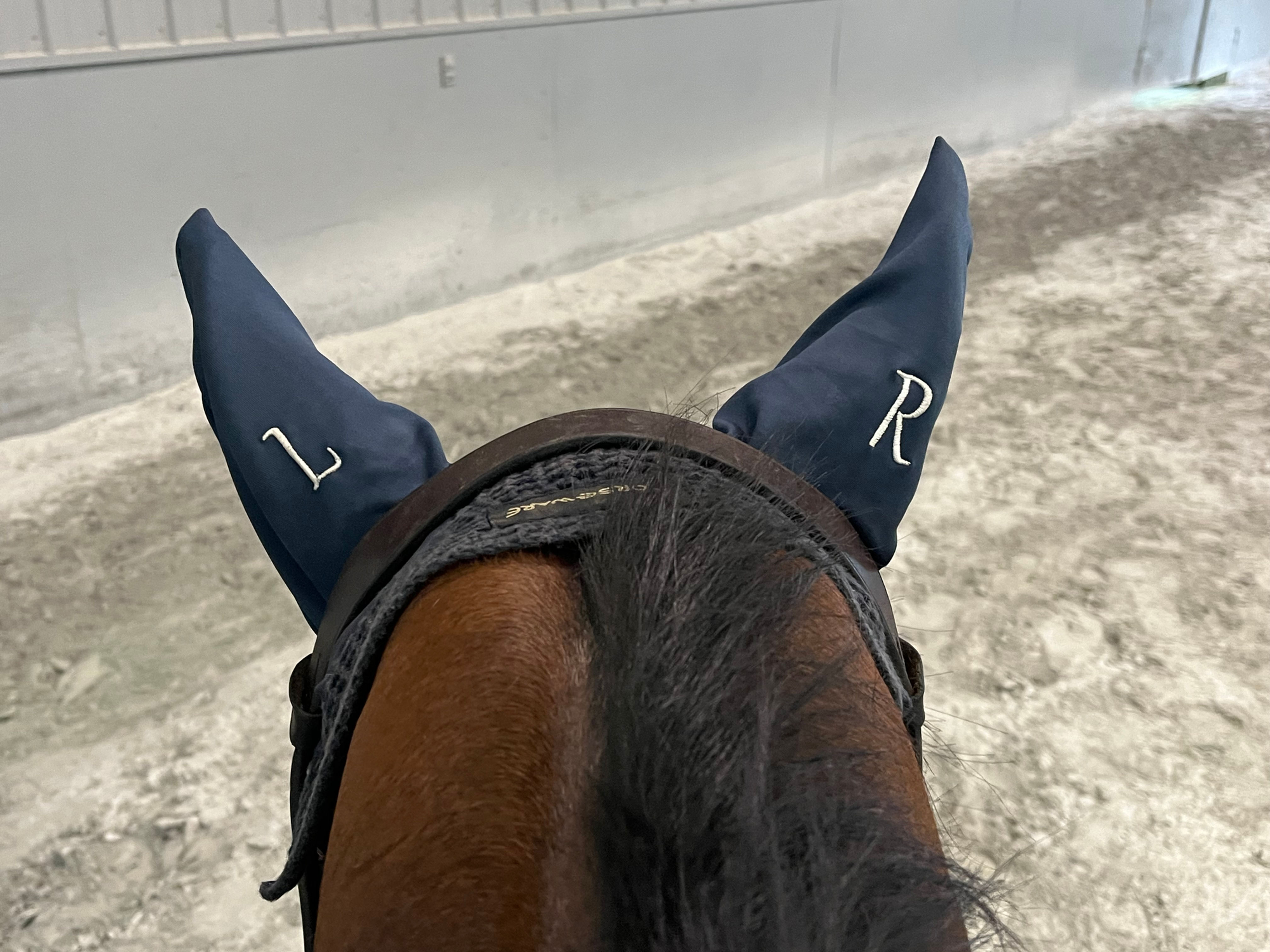 No More Mix-Ups’ Fly Bonnet