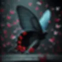 Black Butterfly Movie