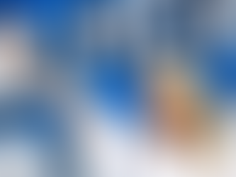 Giorgia Meloni's Party Achieves Landslide Victory in European Elections.