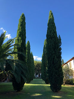 IMG_1384.jpeg