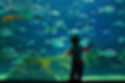Cretaquarium