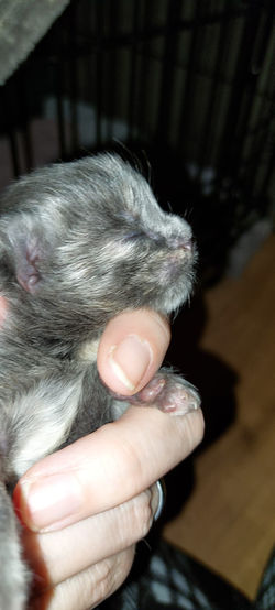 802ea60e-030c-4256-afc2-31d53435face