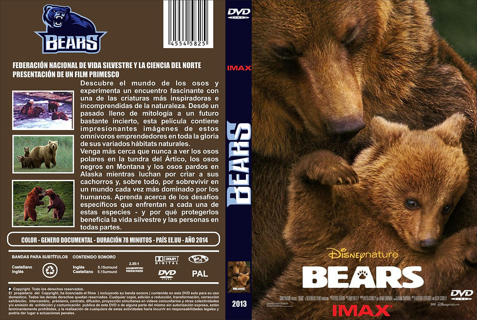 BEARS.jpg