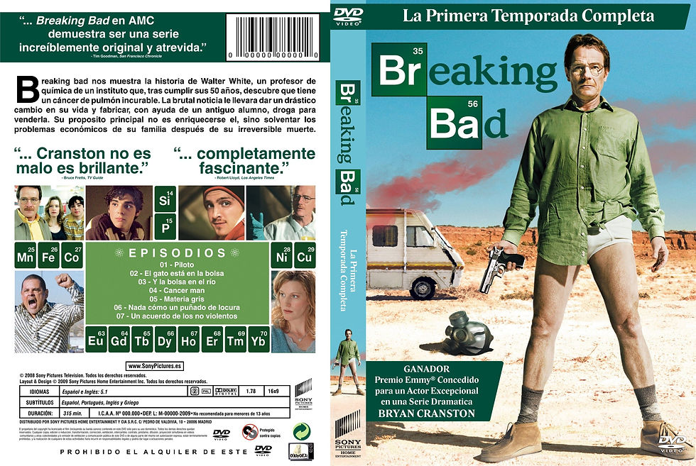 BREAKING BAD TEMPORADA 1.jpg