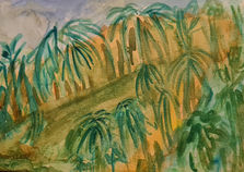 Cadernos desenvolvidos por Lucília Abrahão