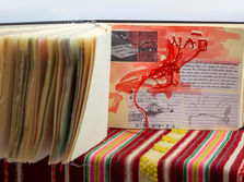 Coleção especial | Caderno As Caravanas | Desenvolvida por Lucília Abrahão