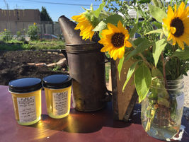 Native Pollinator Research