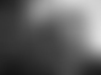 What is “The Plant”?