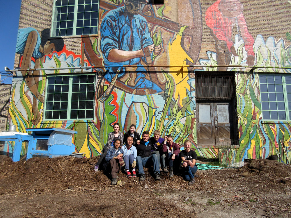 Plant Chicago Now Accepting Interns