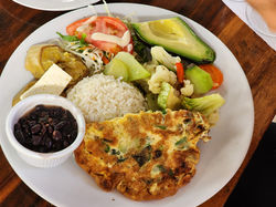 Volcano Rainforest Tour