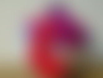 秋例大祭、紅楼夢