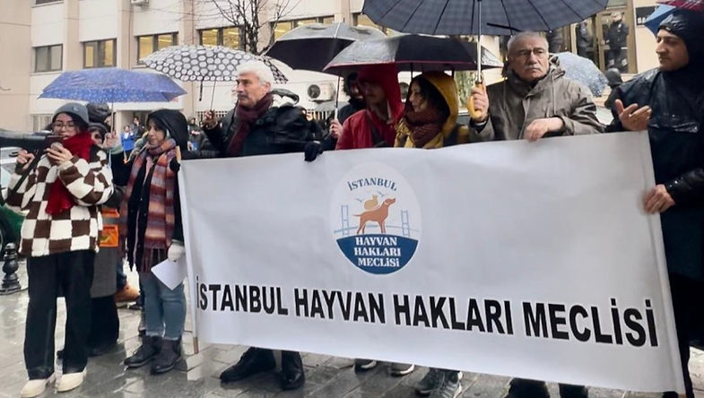 Sağlık Bakanlığı’nın hayvanları toplatma kararı protesto edildi