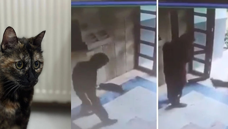 Dakikalarca tekmelendi: Cezve'nin katili tutuklandı