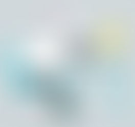 Are Students “Failing” School? - The Effects of Burnout