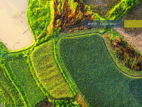 The Regulatory Framework and Practice of Absentee Land in Indonesia