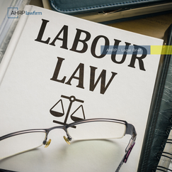 Constitutional Court Decision Regarding the Judicial Review of the Labor Law