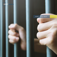 Overview on New Indonesian Penal Code