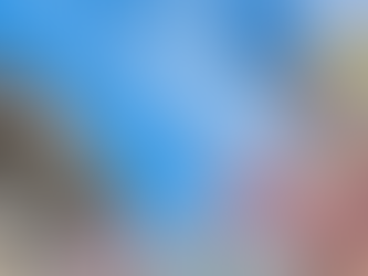 Transtioning Under OJK Reg 11 2025 New Compliance Landscape for Guarantee Institutions