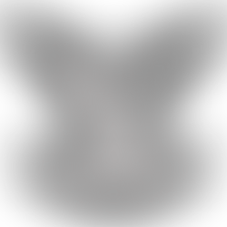 Rhodesian Selous Scouts - Operation Dingo, 1977