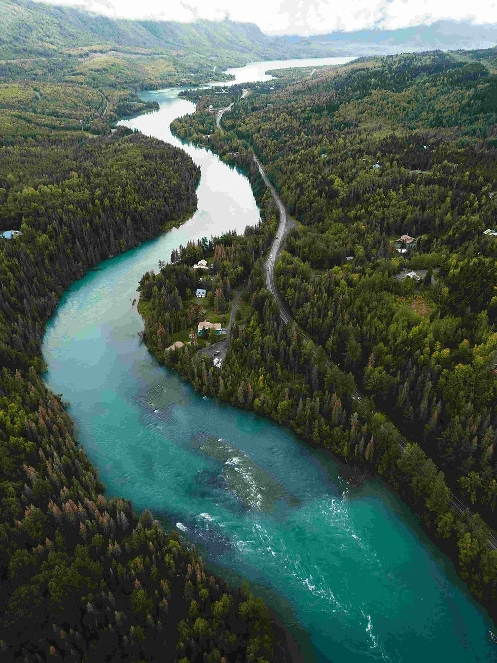 Forêt boréale coupée en deux par une rivière