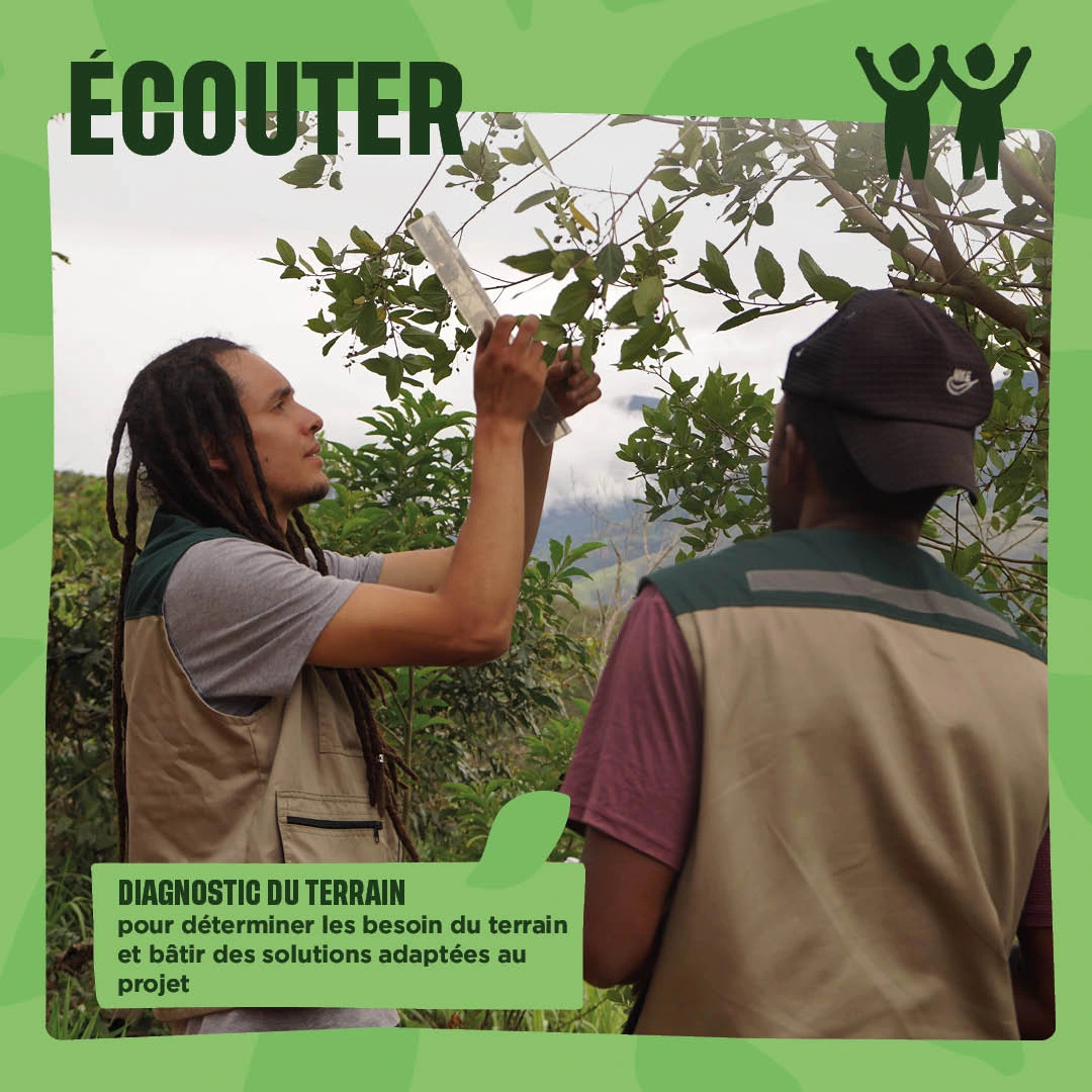 Écouter : diagnostic du terrain