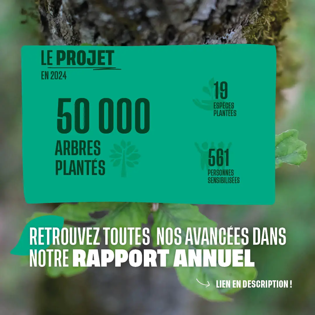 Les chiffres du projet en 2024