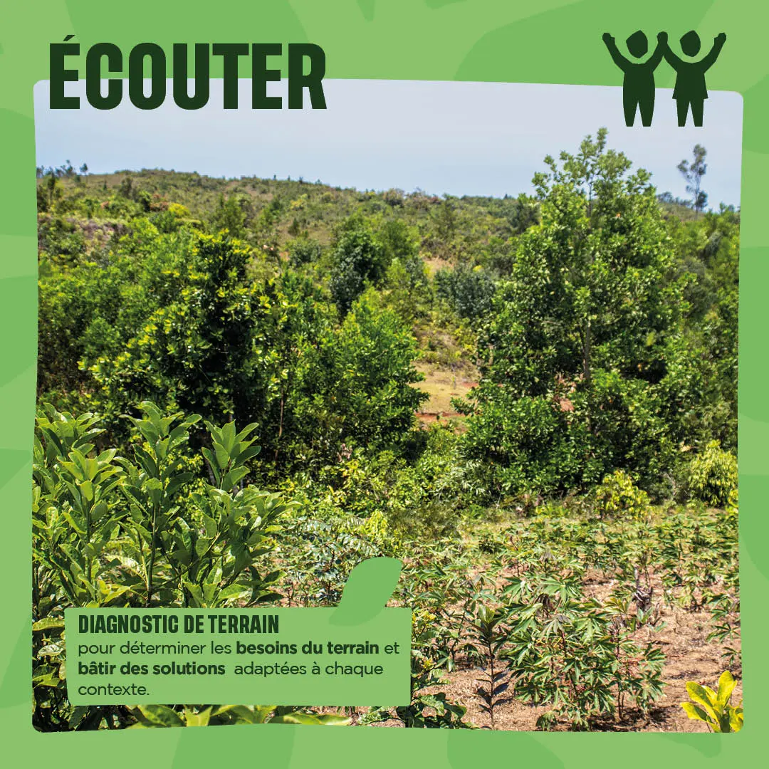 Ecouter : diagnostic de terrain