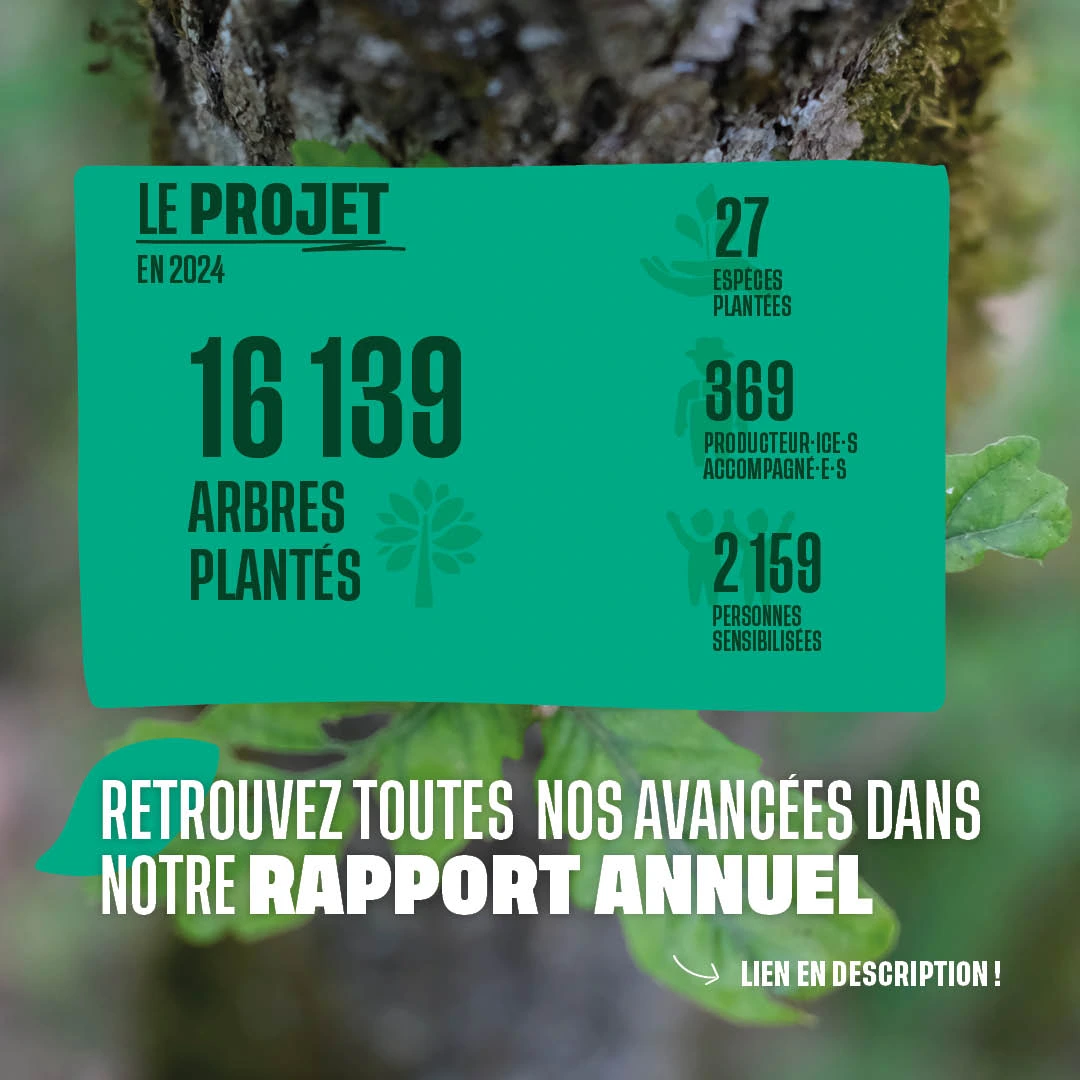 Les chiffres du projet Avorta en 2024